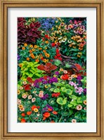 Framed Garden In Full Bloom, Sammamish, Washington State