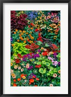 Framed Garden In Full Bloom, Sammamish, Washington State
