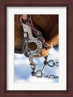 Framed Close-Up Of Bridal And Bit With Silver Work