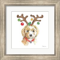 Framed Holiday Paws VI on White