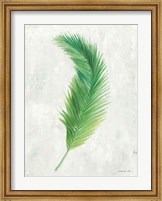 Framed Palms of the Tropics VI