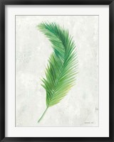 Framed Palms of the Tropics VI