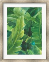 Framed Palms of the Tropics I