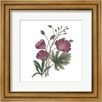Framed Monument Etching Tile Flowers III