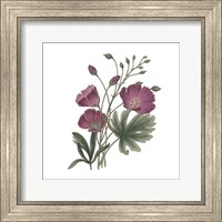 Framed Monument Etching Tile Flowers III