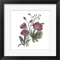 Framed Monument Etching Tile Flowers III