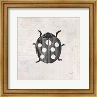 Framed Ladybug Stamp BW