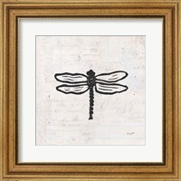 Framed 'Dragonfly Stamp BW' border=