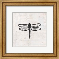 Framed 'Dragonfly Stamp BW' border=