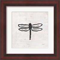 Framed Dragonfly Stamp BW