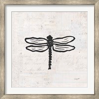 Framed Dragonfly Stamp BW