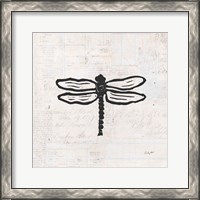 Framed Dragonfly Stamp BW