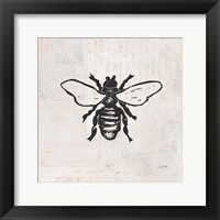 Framed Bee Stamp BW