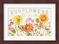 Framed Floursack Autumn IX Sunflowers