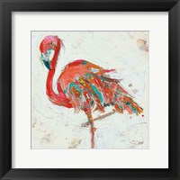 Framed Flamingo on White