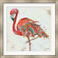 Framed Flamingo on White