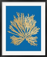 Framed Pacific Sea Mosses II Blue