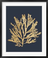 Pacific Sea Mosses I Indigo Framed Print