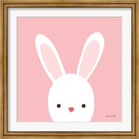 Framed Cuddly Bunny