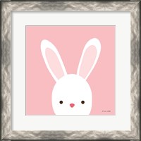 Framed Cuddly Bunny