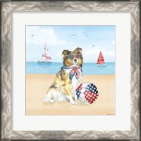 Framed Summer Paws Patriotic V