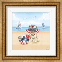 Framed Summer Paws Patriotic IV