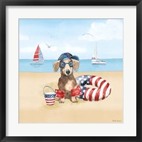 Framed Summer Paws Patriotic III