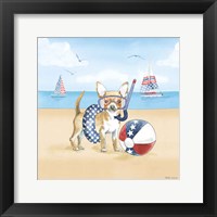 Framed Summer Paws Patriotic II