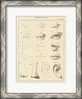 Framed Face Chart