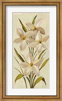 Framed Elegant White Florals II
