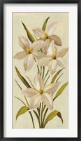 Elegant White Florals II Framed Print