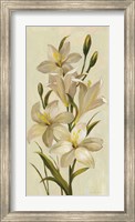 Framed Elegant White Florals I