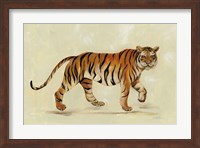Framed Walking Tiger