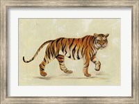 Framed Walking Tiger