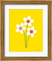 Framed Daisies II