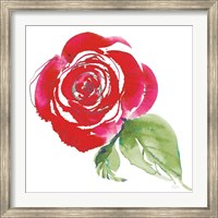 Framed Bold Roses III