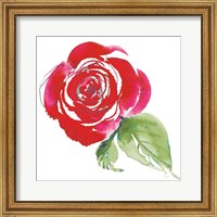 Framed Bold Roses III