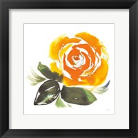 Framed Bold Roses II