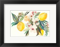 Framed Citrus Summer I