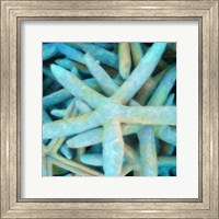 Framed Mama Starfish