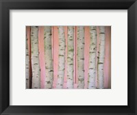 Framed Birch Logs On Pink