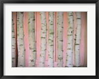 Framed Birch Logs On Pink