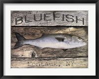 Framed Bluefish