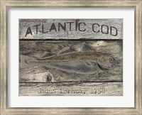 Framed Atlantic Cod