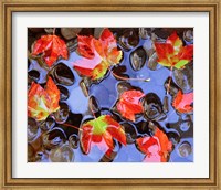 Framed Close-Up Of Maple Leaves In The Water