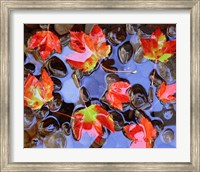 Framed Close-Up Of Maple Leaves In The Water