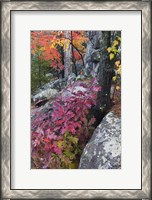 Framed Autumn Color Foliage And Boulders Along Saint Louis River, Minnesota.