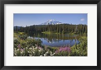 Framed Reflection Of A Mountain And Trees In Water, Mt Rainier National Park, Washington State