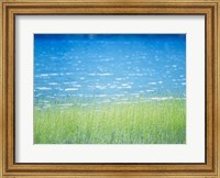 Framed Grass In Water