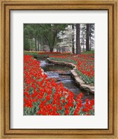 Framed Red Tulips And Brook In Hodges Gardens, Louisiana